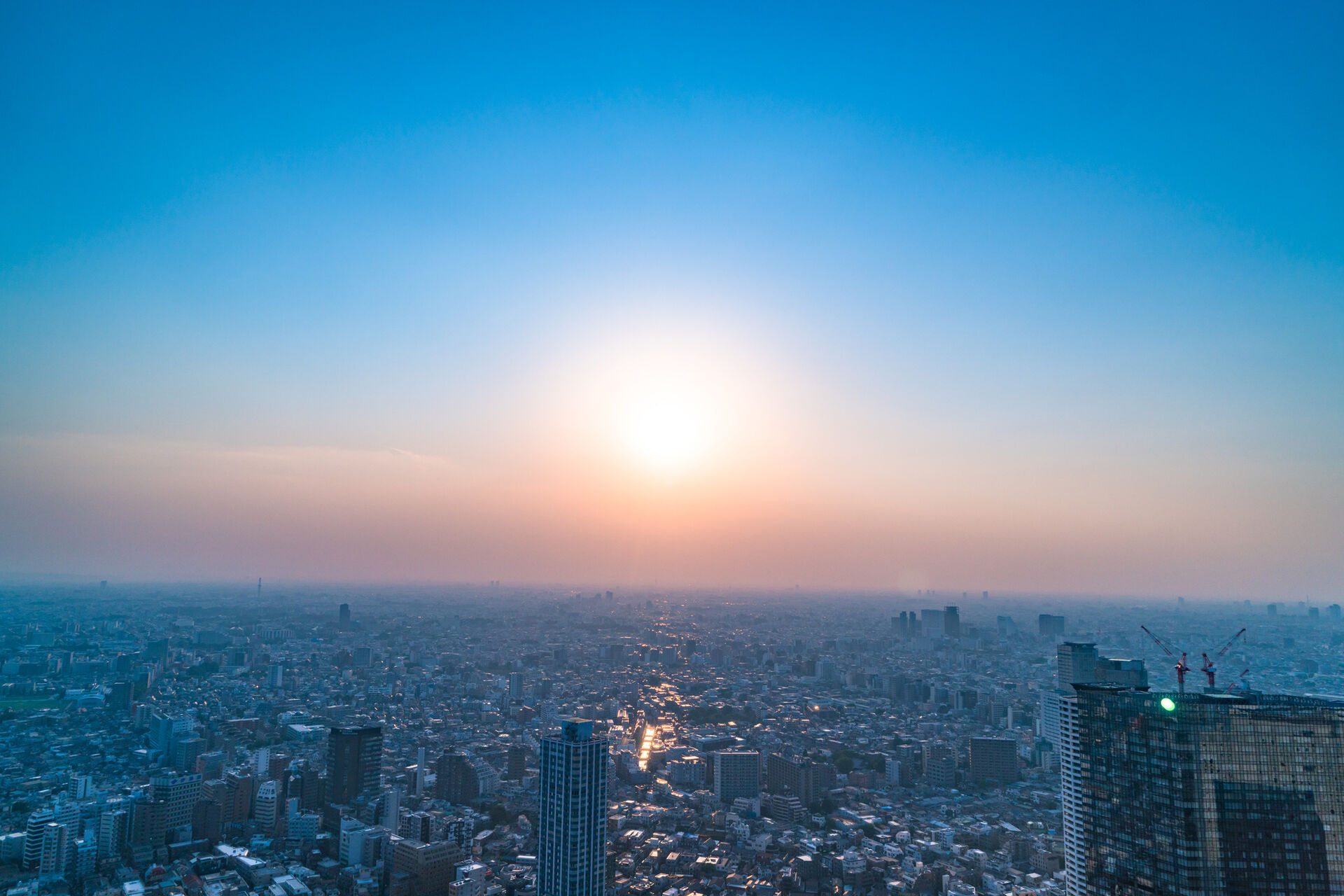 謚陦捺髪謠ｴ